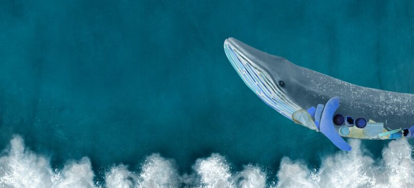 Introducing our official charity partner for 2024